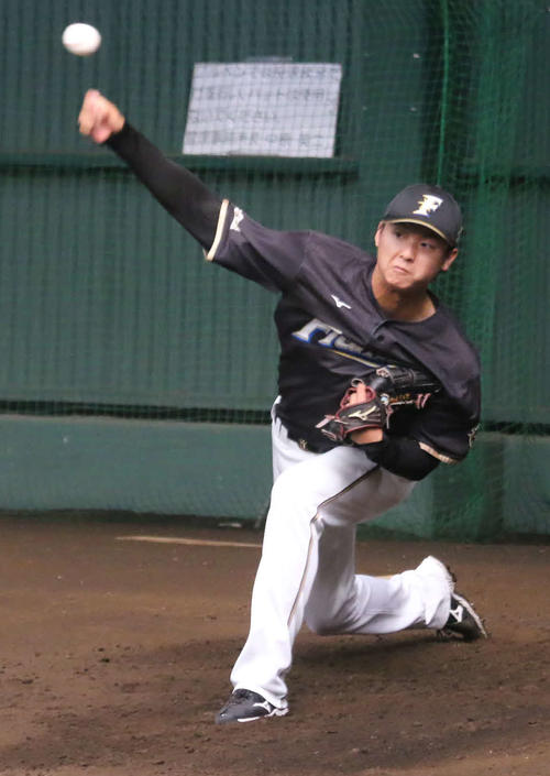 侍ジャパン戦に向けてブルペンで投げ込む日本ハム田中瑛（撮影・中島宙恵）