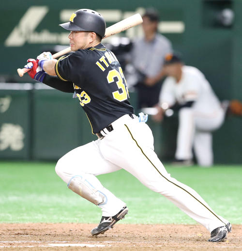 阪神糸原健斗