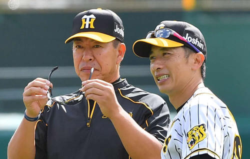 選手の動きを見守る阪神矢野監督（右）と井上打撃コーチ（撮影・上田博志）