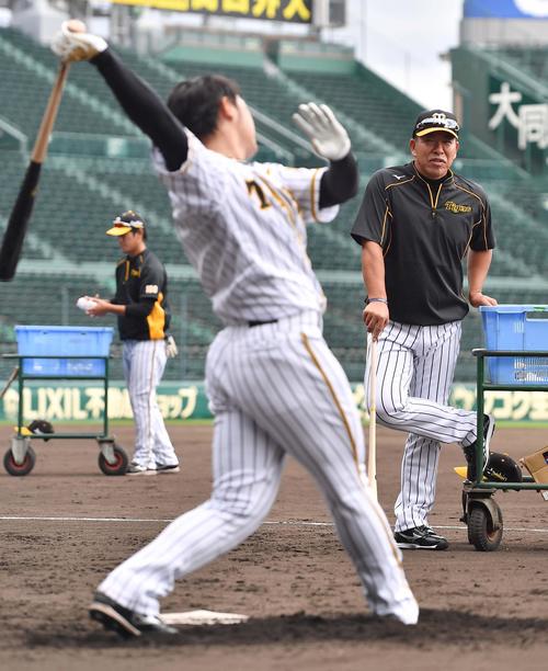 高山俊のロング打撃練習を見守る井上一樹打撃コーチ（撮影・上田博志）