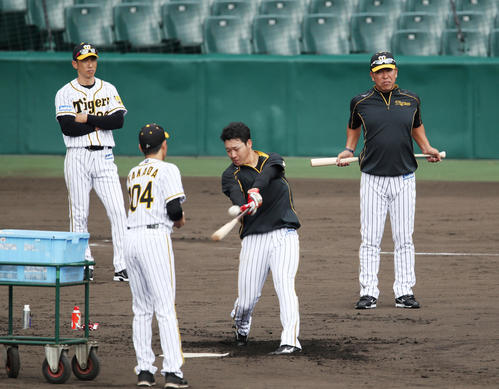 阪神大山（中央）の打撃練習を見守る井上新打撃コーチ（右）と矢野監督（撮影・前田充）