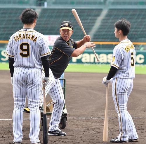 阪神近本（右）と高山（左）に打撃指導する井上打撃コーチ（撮影・上田博志）