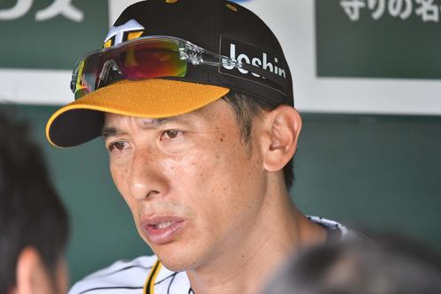 練習後、記者の取材を受ける矢野燿大監督（撮影・上田博志）