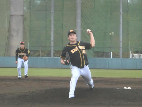 みやざきフェニックス・リーグ楽天対阪神
先発した阪神飯田（撮影・奥田隼人）
