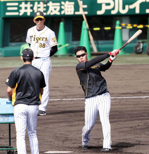矢野監督（後方）が見つめる前でロングティーを行う大山