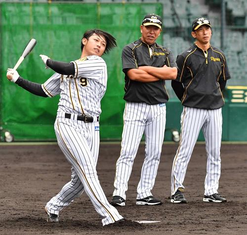矢野監督（右）と井上打撃コーチ（中央）の見守る中、ロングティーをする高山（撮影・上田博志）