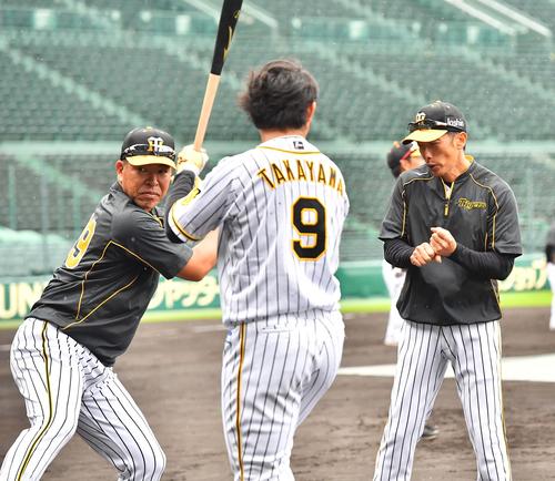 高山（中央）に同時に熱い指導をする矢野監督（右）と井上打撃コーチ（撮影・上田博志）