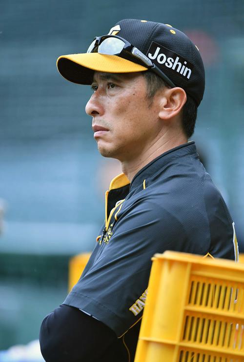 ベンチ前で選手の動きをチェックする矢野燿大監督（撮影・上田博志）