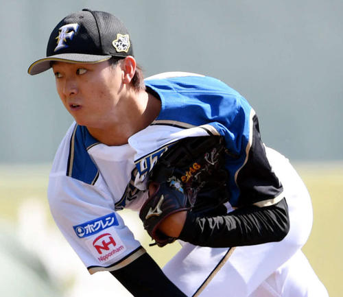 日本代表対日本ハム　力投する日本ハム先発の田中瑛（撮影・滝沢徹郎）