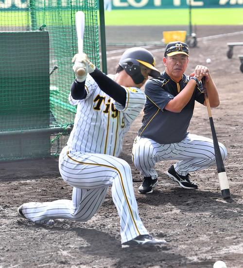 阪神井上コーチ発案 スローボール打ち で我慢習得 プロ野球写真ニュース 日刊スポーツ