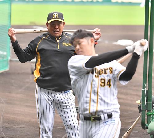 阪神原口が打撃フォーム改造 固めるより柔らかく プロ野球写真ニュース 日刊スポーツ