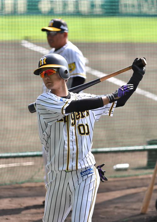 トスバッティングをして汗を流す上本（撮影・上田博志）