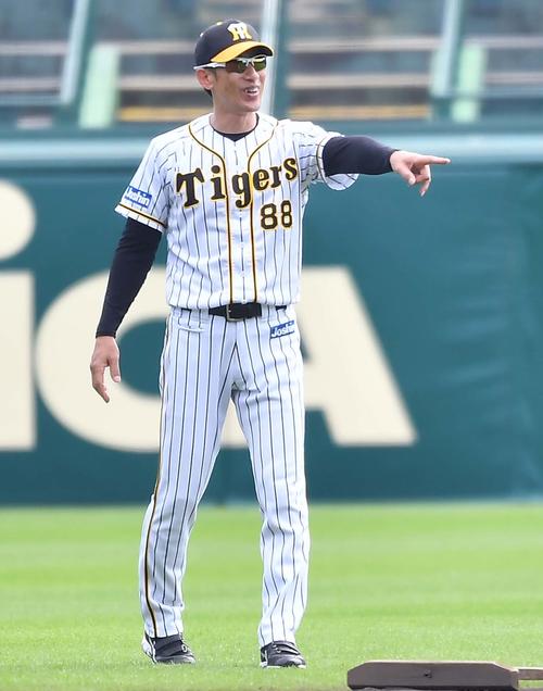 笑顔を見せながら練習を見る矢野監督（撮影・上田博志）