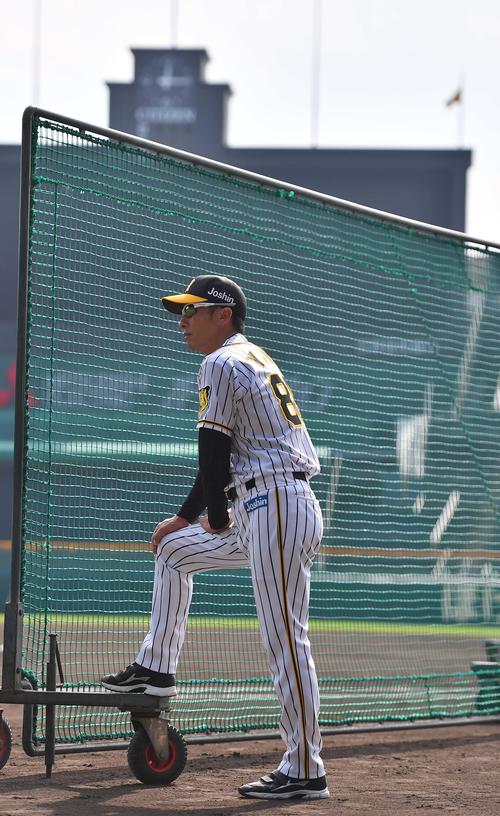 打撃練習を見守る阪神矢野監督（撮影・上田博志）