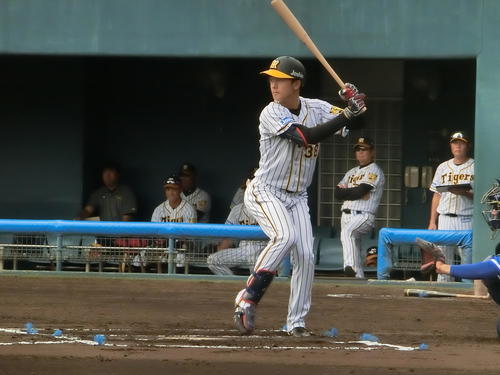 みやざきフェニックス・リーグのDeNA戦に2番遊撃で先発出場した阪神小幡（撮影・奥田隼人）