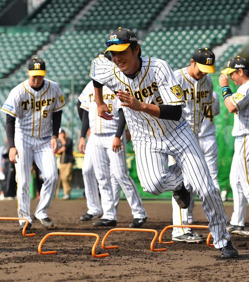 アップをして体を温める藤浪晋太郎（撮影・上田博志）