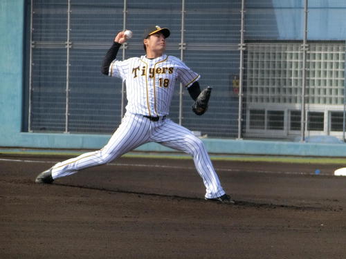 みやざきフェニックス・リーグのDeNA戦に先発した阪神馬場（撮影・奥田隼人）