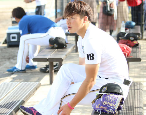 練習の合間にベンチに座っているフェニックスリーグに参加中の日本ハム吉田輝（撮影・木下大輔）