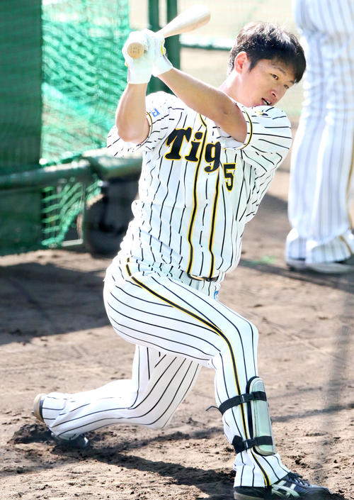 ティー打撃で汗を流す近本（撮影・上山淳一）