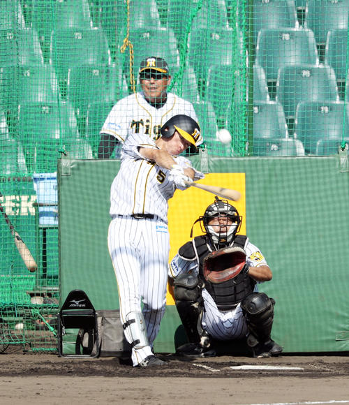 フリー打撃を行う近本。後方は見守る北川打撃コーチ（撮影・前田充）