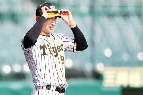 ナインの練習を見つめる矢野監督（撮影・上山淳一）