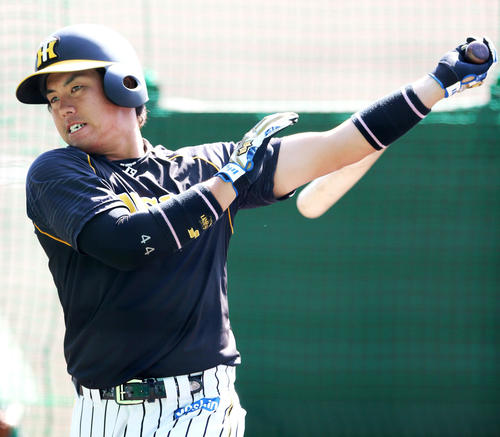 ティー打撃に打ち込む梅野（撮影・上山淳一）