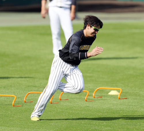 外野でダッシュする梅野（撮影・前田充）