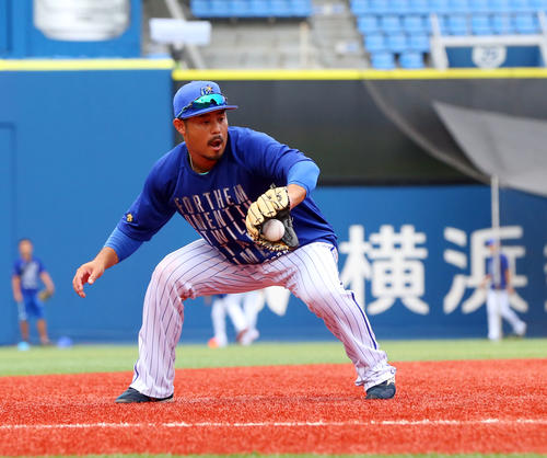 DeNA宮崎敏郎（2019年9月12日撮影）