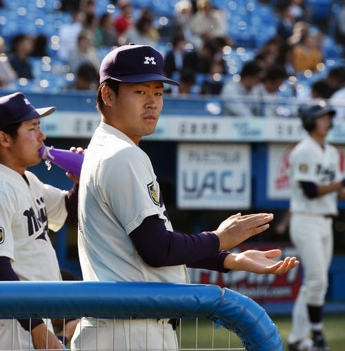 立大対明大　　ベンチから応援する明大・伊勢（撮影・柴田隆二）