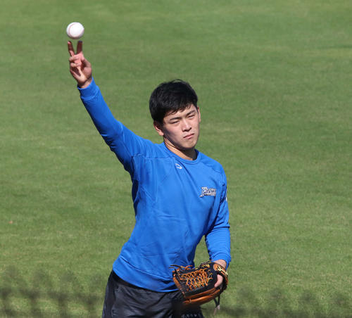 キャッチボールをする日本ハム野村（撮影・山崎純一）