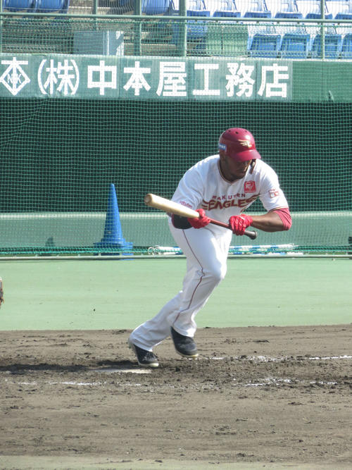 ケース打撃練習で送りバントを決める楽天オコエ（撮影・桑原幹久）