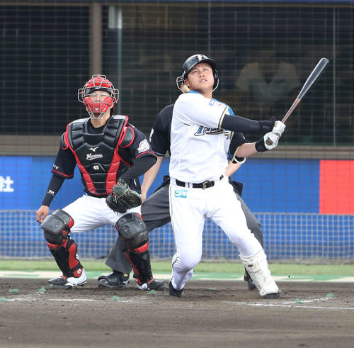日本ハム森本龍弥（2019年5月15日撮影）