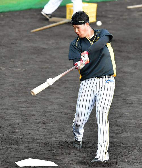 ロングティーを行う大山悠輔（撮影・清水貴仁）