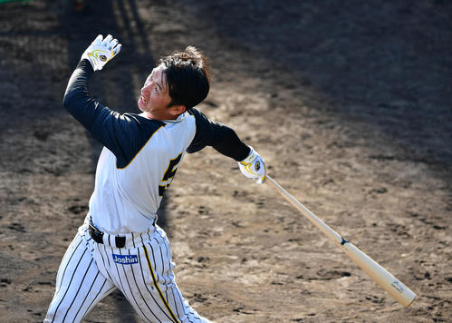 ロングティーを行う近本光司（撮影・清水貴仁）