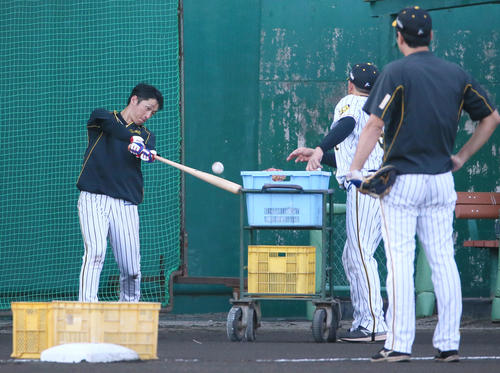 外野特守のノッカーをする近本（撮影・上山淳一）
