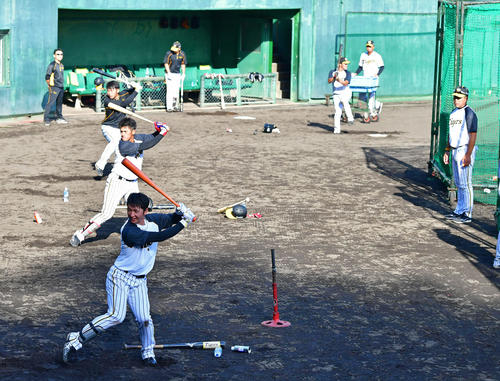 井上コーチ（右）の笛の合図で打つ選手たち。左手前から近本、板山、高山（撮影・清水貴仁）