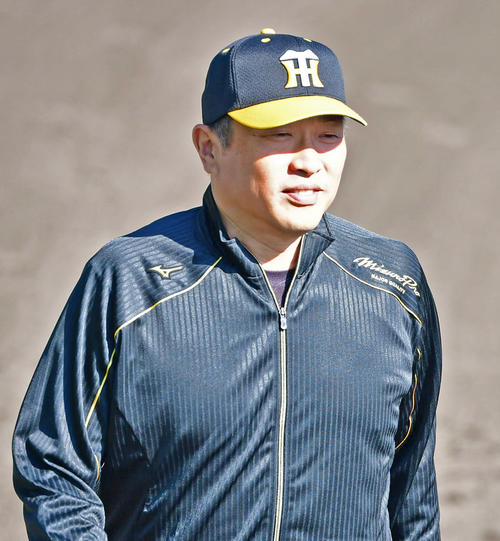 阪神の秋季キャンプに参加する山本昌臨時コーチ（撮影・清水貴仁）