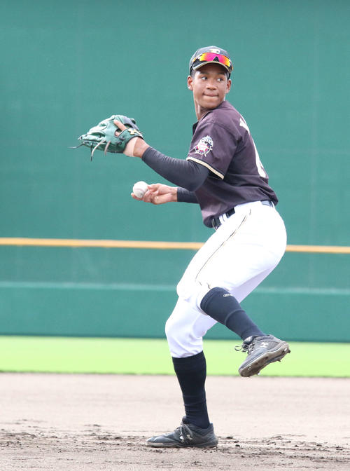 内野でボール回しに参加する日本ハム万波（撮影・木下大輔）