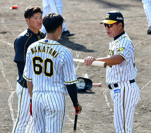 井上コーチ（右）の指導を受ける中谷（中央）と陽川（撮影・清水貴仁）