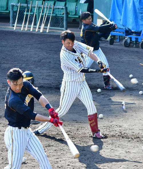 トス打撃を行う中谷将大（中央）たち、手前は江越大賀、奥は陽川尚将（撮影・清水貴仁）