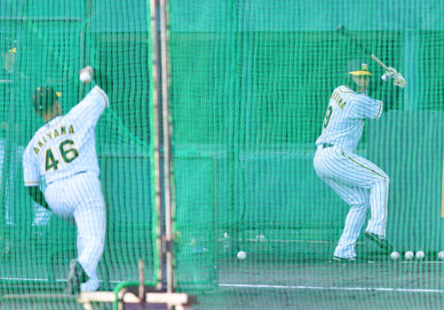 阪神秋山が打撃投手139球「いろんな発見あった」 - プロ野球写真 