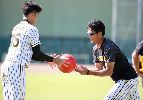 トレーニングする才木（左）と藤浪（撮影・上山淳一）