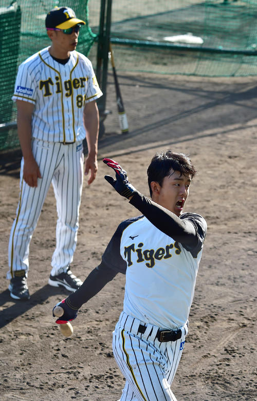 矢野耀大監督（奥）の前でトス打撃を行う小幡竜平（撮影・清水貴仁）