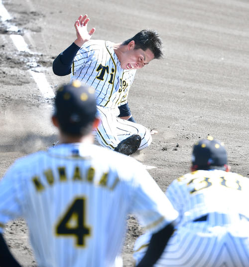 ベースランニングのとりで気合の入った顔でホンルに滑り込む阪神片山（撮影・清水貴仁）