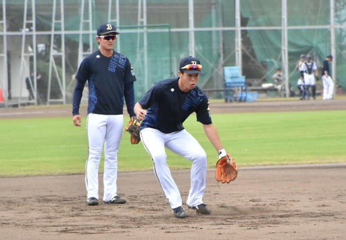 オリックス太田椋内野手（撮影・真柴健）