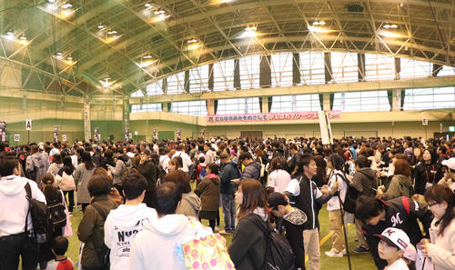 大勢のファンが集まったロッテのサイン会（撮影・久永壮真）