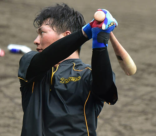 トス打撃を行う北條史也（撮影・清水貴仁）