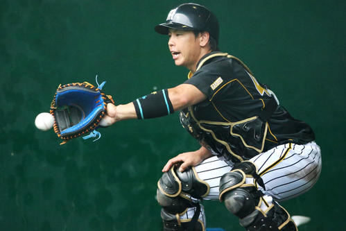 ブルペンで投手の球を受ける梅野隆太郎（撮影・上山淳一）