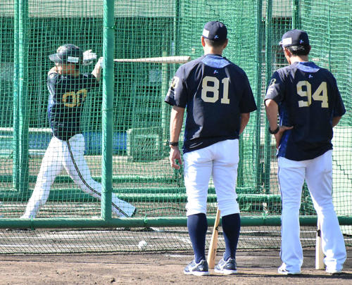 オリックス田口野手総合コーチ（中央）と後藤打撃コーチ（右）が見守る中、ランチ特打を行う西浦（撮影・真柴健）