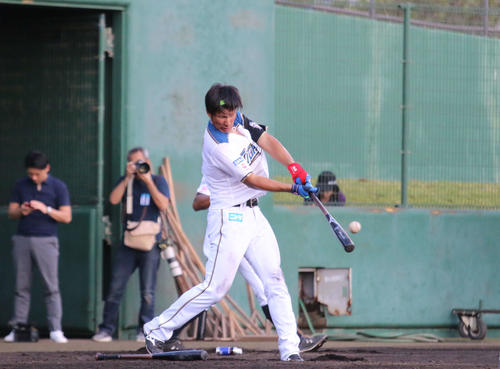 ロングティーを行う日本ハム大田（撮影・中島宙恵）